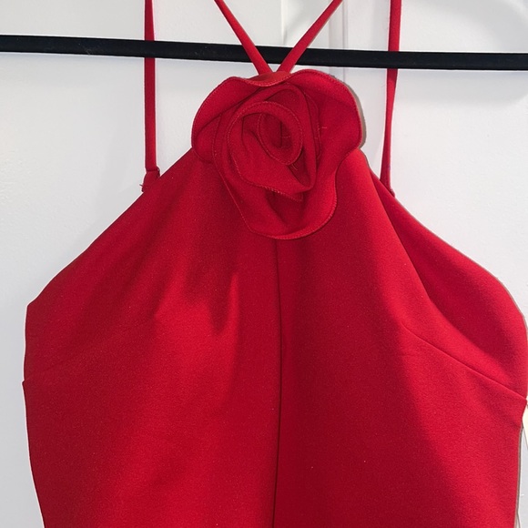 Speechless Rose Dress - Picture 3 of 6